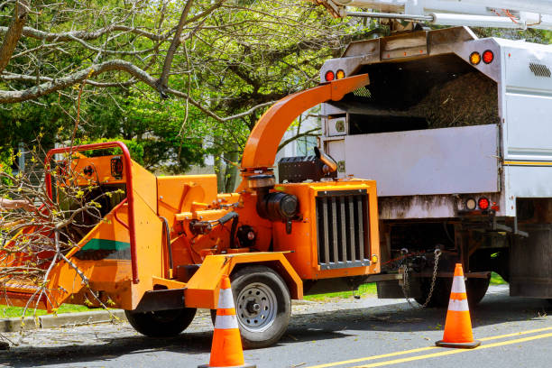 Best Utility Line Clearance  in Macdonnell Heights, NY